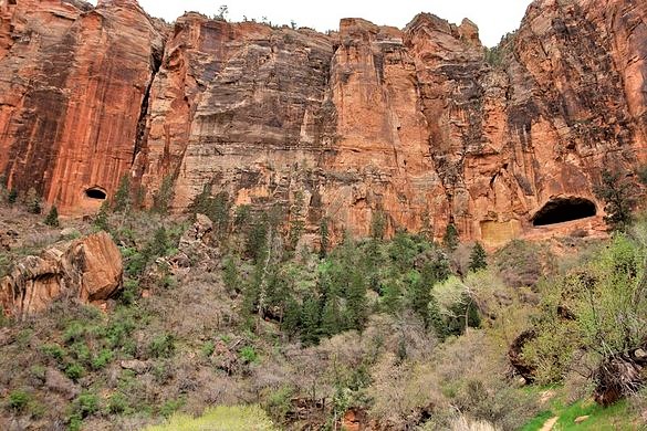 Zion NP